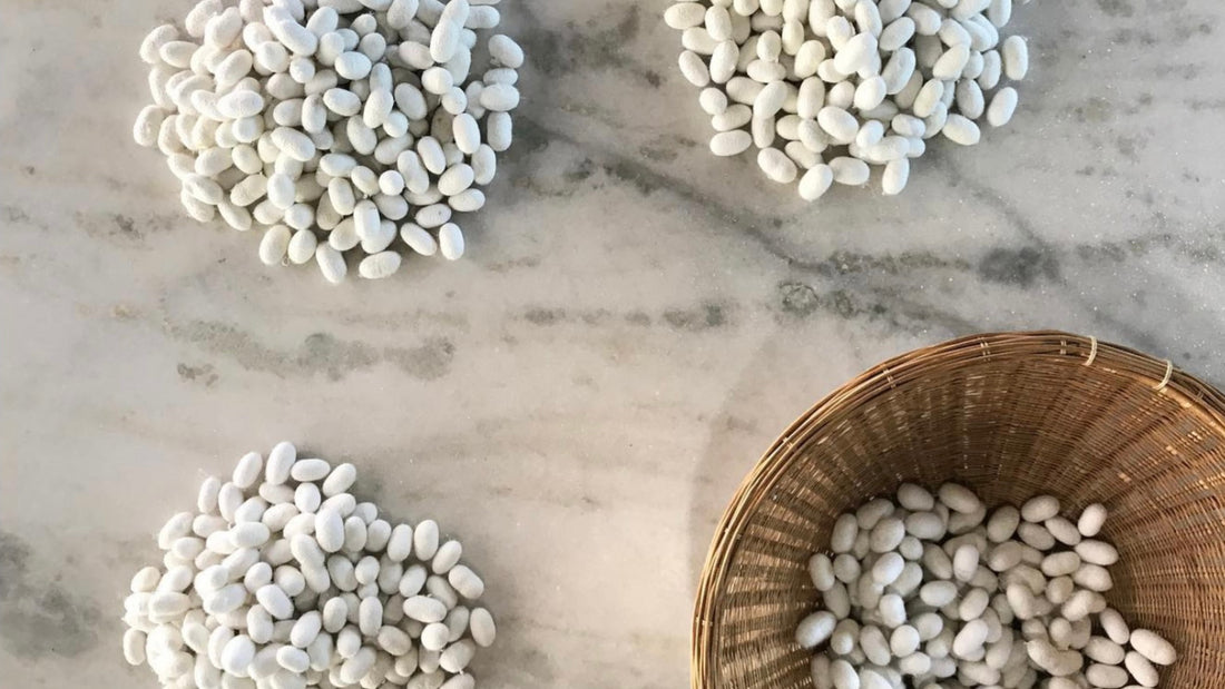 Tas de cocons de soie bio